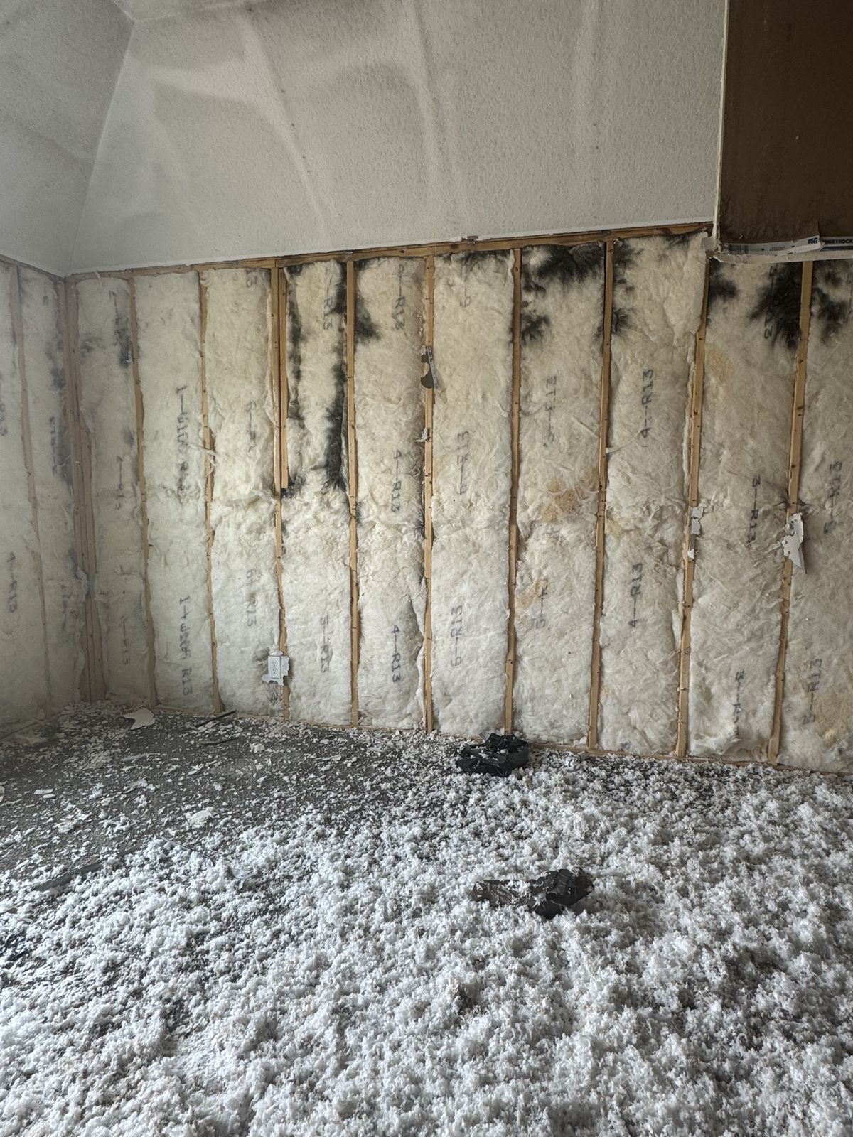 Mold-affected wall cavity opened for remediation
